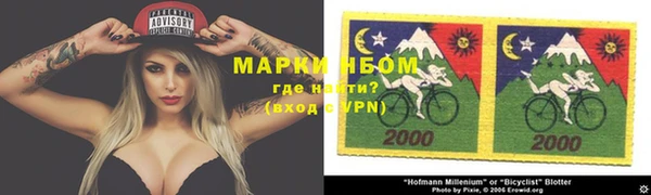 apvp Иннополис