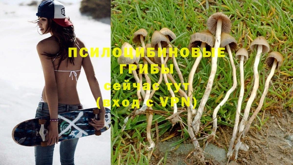мдпв Зеленокумск