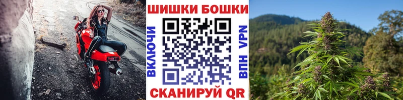 Канабис MAZAR  продажа наркотиков  Томмот 